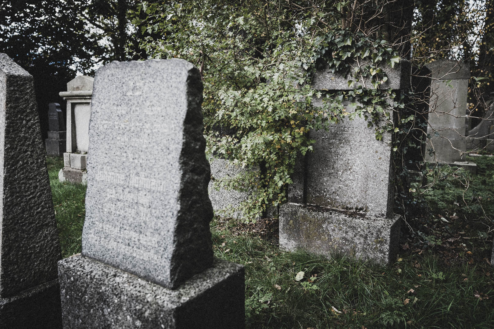 Aurich, jüdischer Friedhof